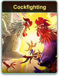 banner cockfighting